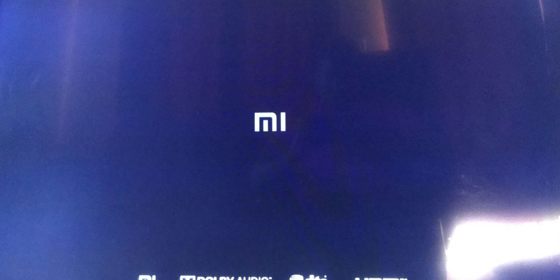 Xiaomi Mi Box S stuck on boot loop after update
